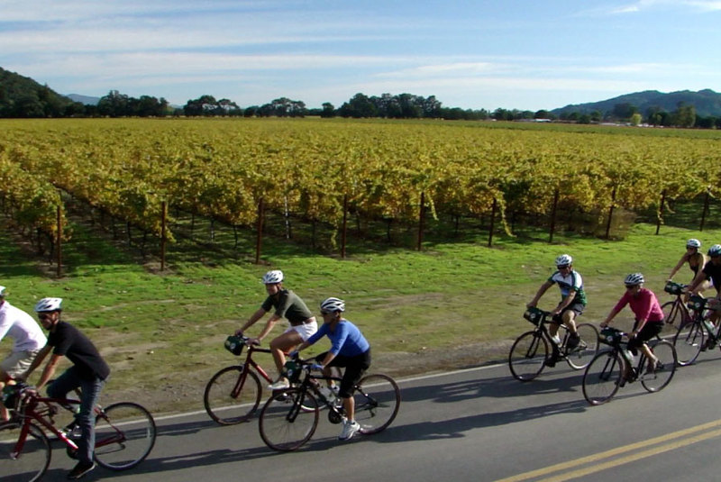 Napavalleybiketours 1