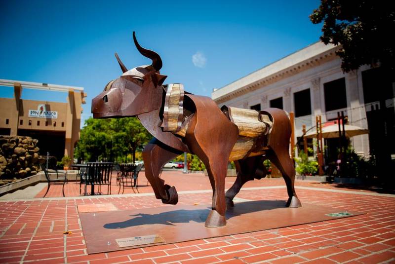 Bull