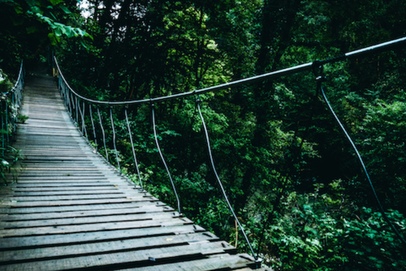 Canva brown hanging bridge